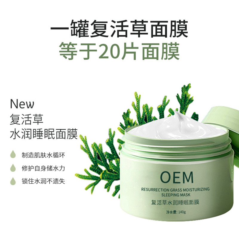 金稻_复活草睡眠面膜OEM